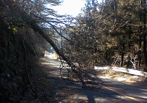 渋川市での写真